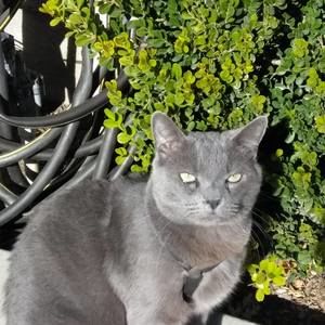 Meet your Posher, Mike